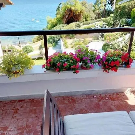 Dreamy Summer House Tatil Evi *